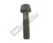 PİSTON KOL CIVATA ŞAPKALI TİP 1,2 NF 55 MM