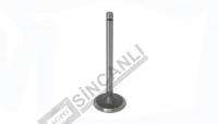 Inlet Valve Std.