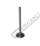 Valve - Exhaust (Std.)