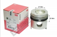 Piston & Ring Assy 0.20 