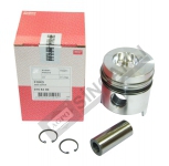 Piston & Ring Assy 0.30 