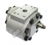 Hydraulic Pump Assy.