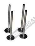 Inlet Valve Std.