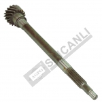 Input Shaft Gear(17)