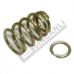 Spring Kit-Gear Lever