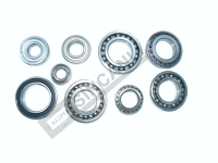 ŞANZIMAN BİLYA SETİ ( 9 ADET )