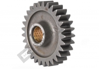 Transmission Gear (Brazil)