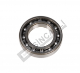 DUAL POWER TAŞIYICI BİLYA