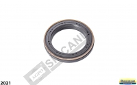 Crank Shaft Seal 