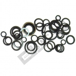 O-Ring Kit