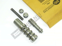 Folw Kontrol Valve, Sleeve, Spring And Tap Kit