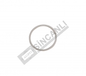 Ring-Piston Seal Back Up