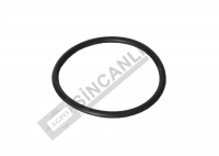 Seal-Hydraulic Piston