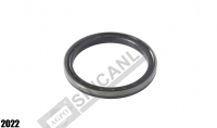Radial Shaft Seal