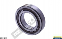 KUYRUK MİLİ RULMANI