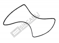 MOTOR BEYNİ CONTASI