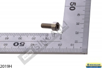 Screw 