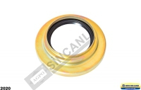 Rear Axle Seal & Retainer