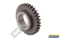 Gear