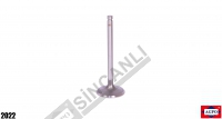 Inlet Valve