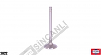 Exhaust Valve