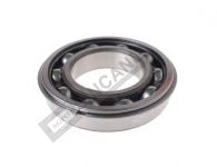 Bearing Transmission