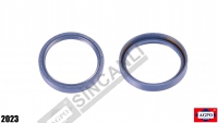 Oil Seal