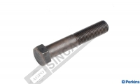 Screw 
