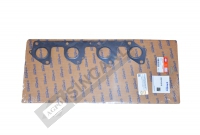 Manifold Gasket 