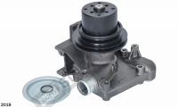 Water Pump Assembly