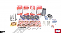 MOTOR REKTİFİYE KİTİ STD YATAKLI 0,5 SUPAPLI 4 SİL