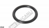 O-Ring