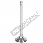 SUPAP EGZOZ STD 3 TIRNAK