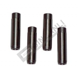 SUPAP GAYDI EMME KISA