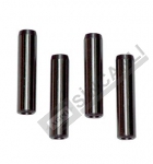 SUPAP GAYDI EGZOZ UZUN