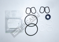 Repair Kit-Hydraulic Pump (For The Hema Pumps)