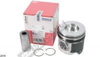Piston & Pin W / Ring 