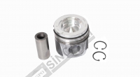 PİSTON SEGMANLI STD (72781)