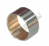 AVARE DİŞLİ BURCU