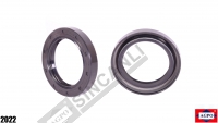 Shaft Seal 45x60x10