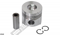 Piston And Pin 100 Mm