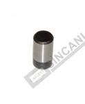 Pin-Transmission Lever