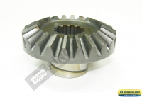 AKS DİŞLİSİ-SAĞ