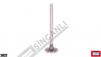 Valve Std Ex 