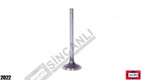 SUPAP EGZOZ STD. TİER 3