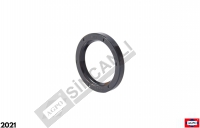 Oil Seal