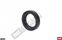 Oil Seal