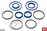 Cylinder Repair Kit