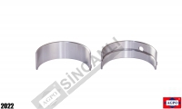 Main Bearing Std.