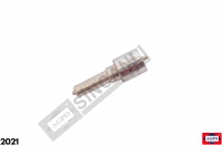Common Rail Nozzle